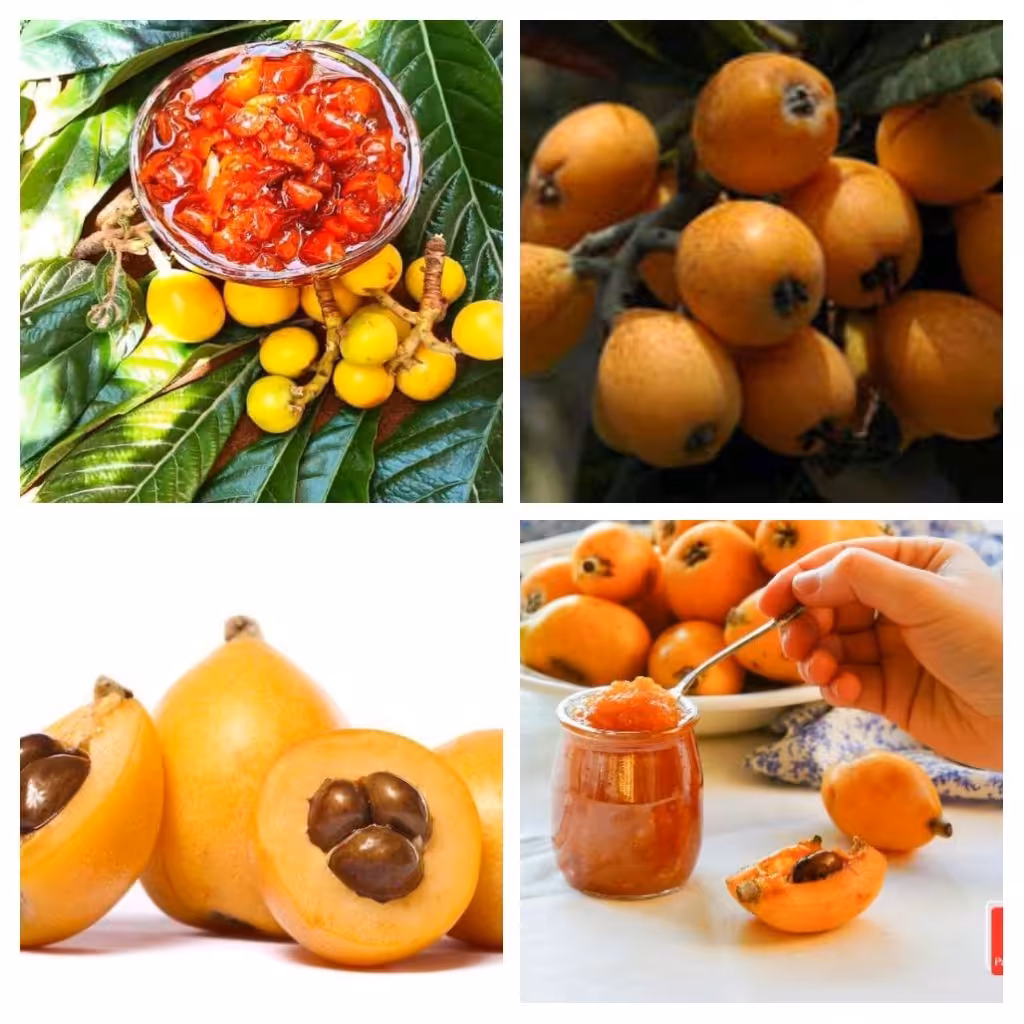 مربای انبه شمالی( ازگیل ژاپنی) 1 کیلویی