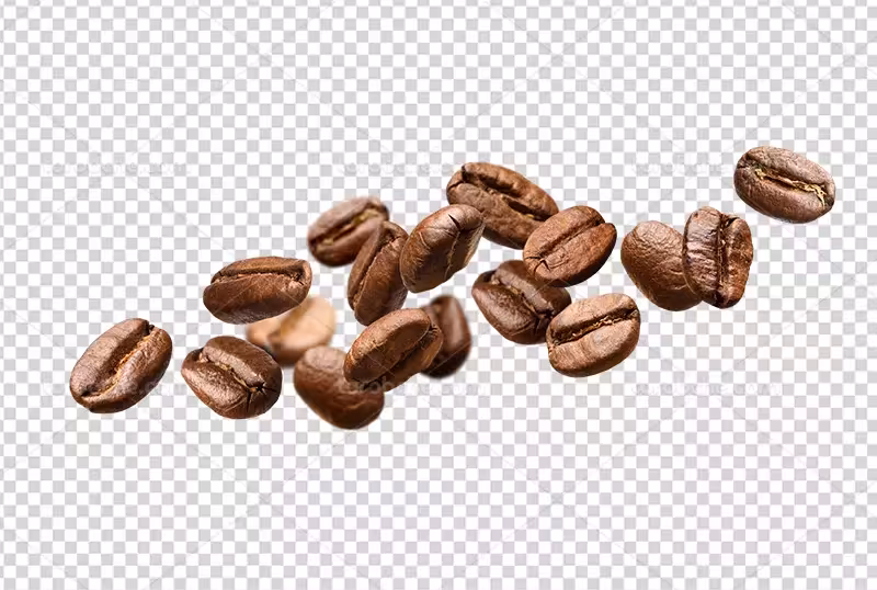 عکس PNG دانه های قهوه | گرافیک با طعم تربچه