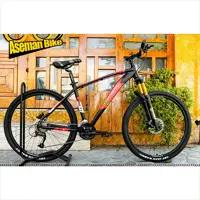 قیمت و خرید دوچرخه 27.5 WStandard Pro T1 دبلیو استاندارد سایز 27.5 پرو تی وان 27 دنده دوشاخ بادی توپی بلبرینگی