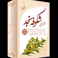 عطر طبیعی شکوفه سنجد 4 گرمی شرکت مرهم طبیب
