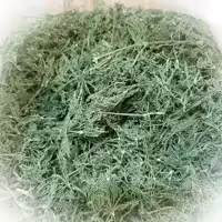 شوید 3 کیلویی (پس کرایه)