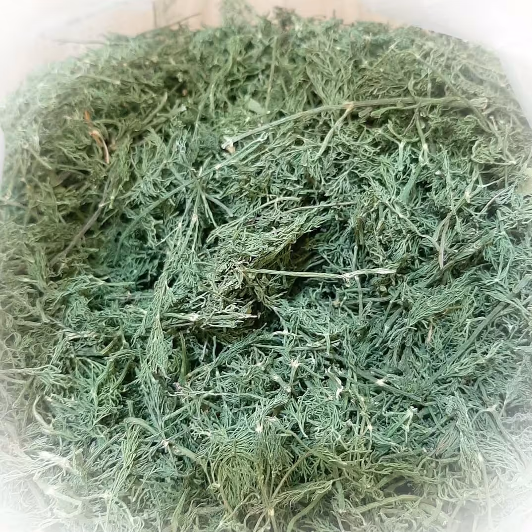 شوید 3 کیلویی (پس کرایه)