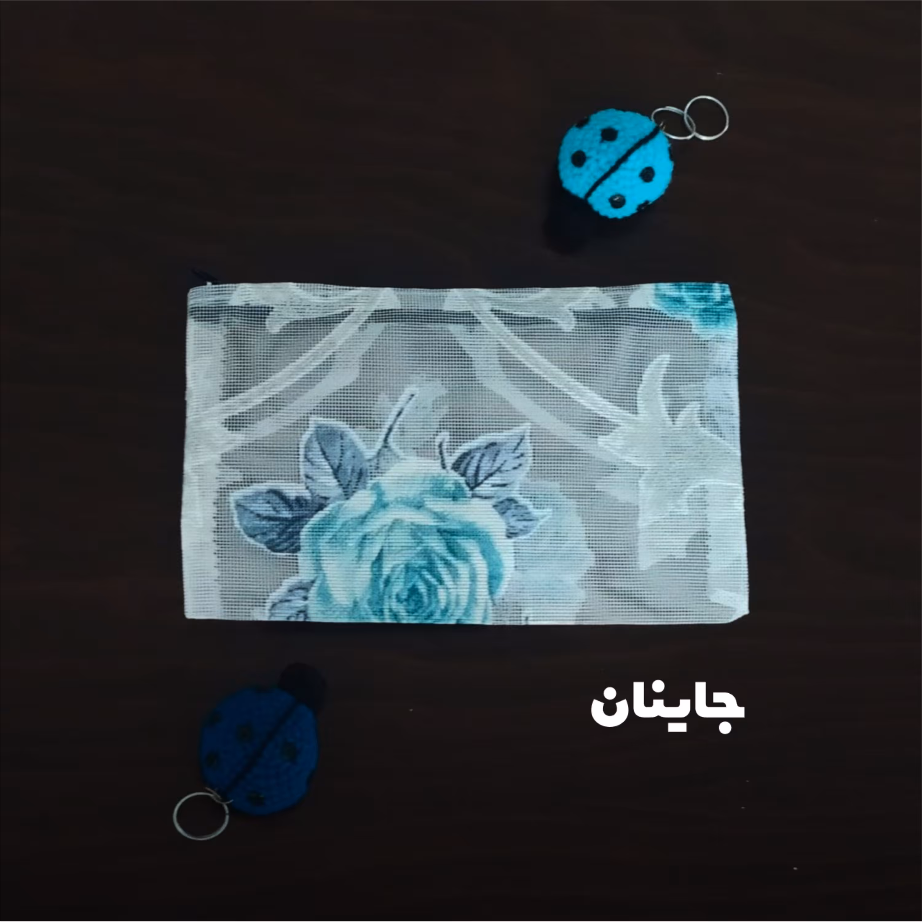 جامدادی  جاینان