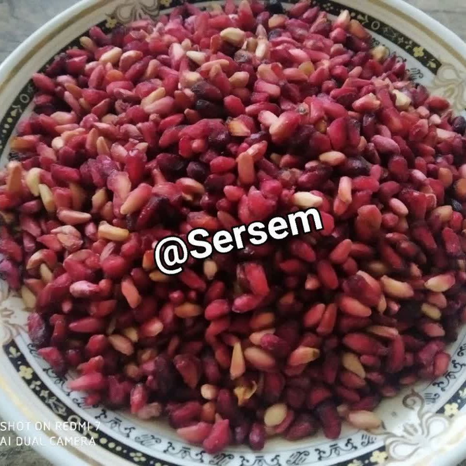 دونه انار جنگلی ترش