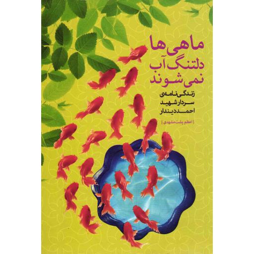 ماهیها دلتنگ آب نمی شوند - مجموعه بیست و هفتی ها 13 (زندگی نامه سردار شهید احمد دیندار)