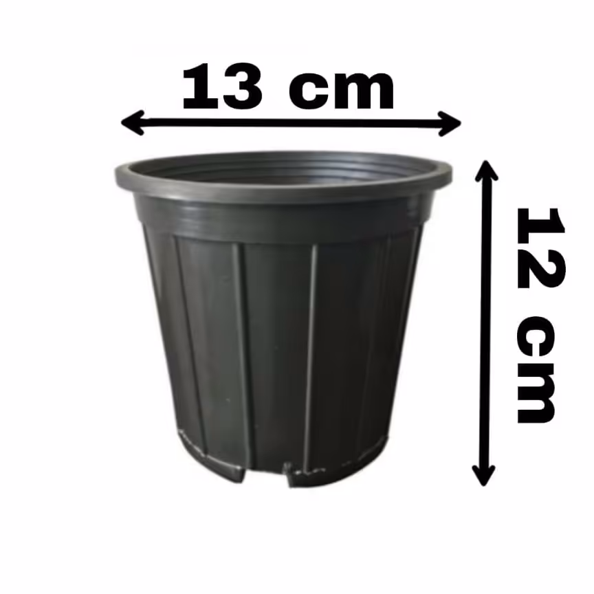 گلان پلاستیکی سیاه سایز 13(50)عدد