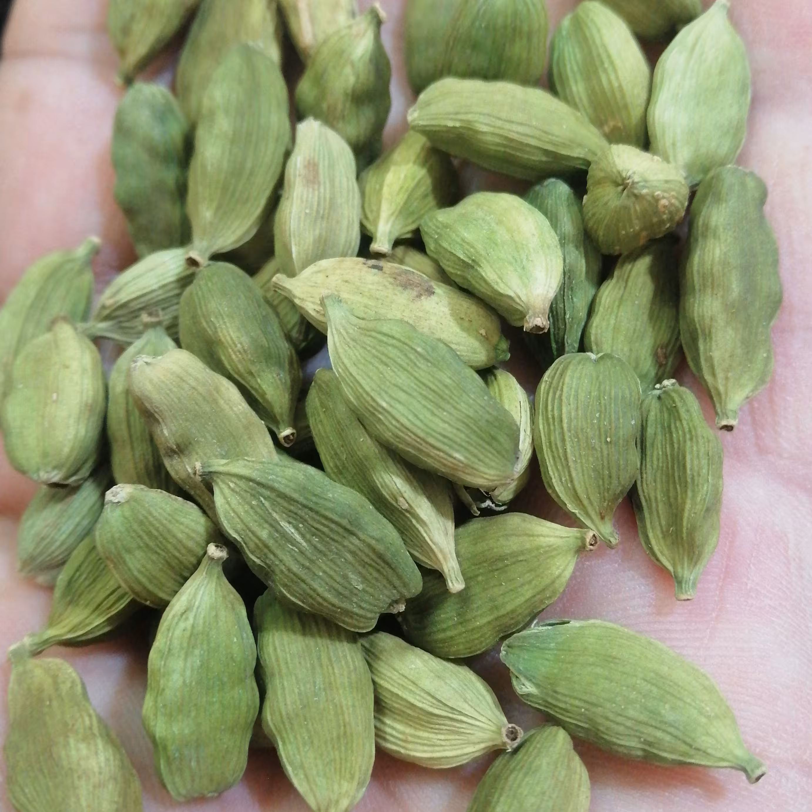 هل اکبر بنفش  اعلا 50 گرمی