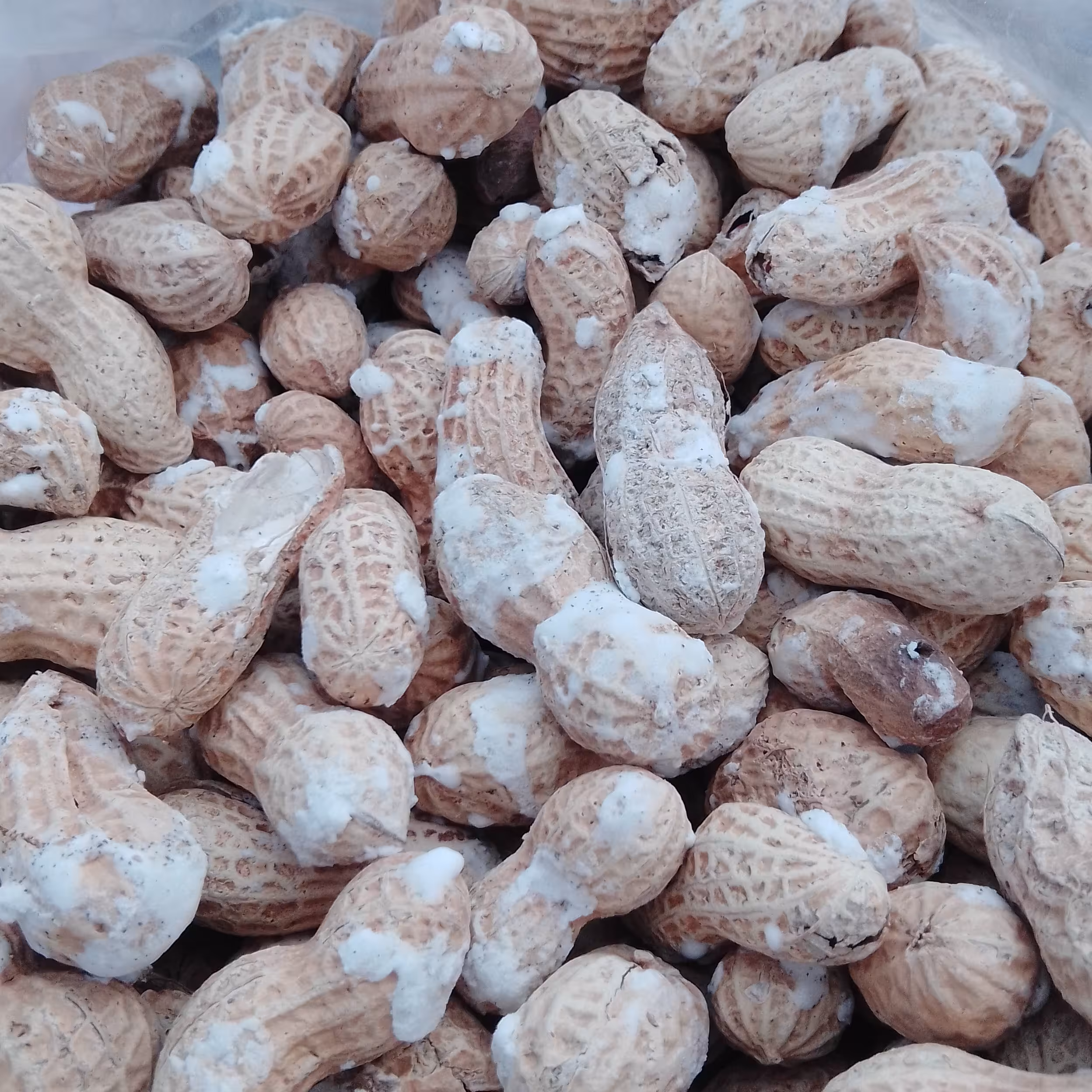 بادام زمینی روکش دار 500گرم