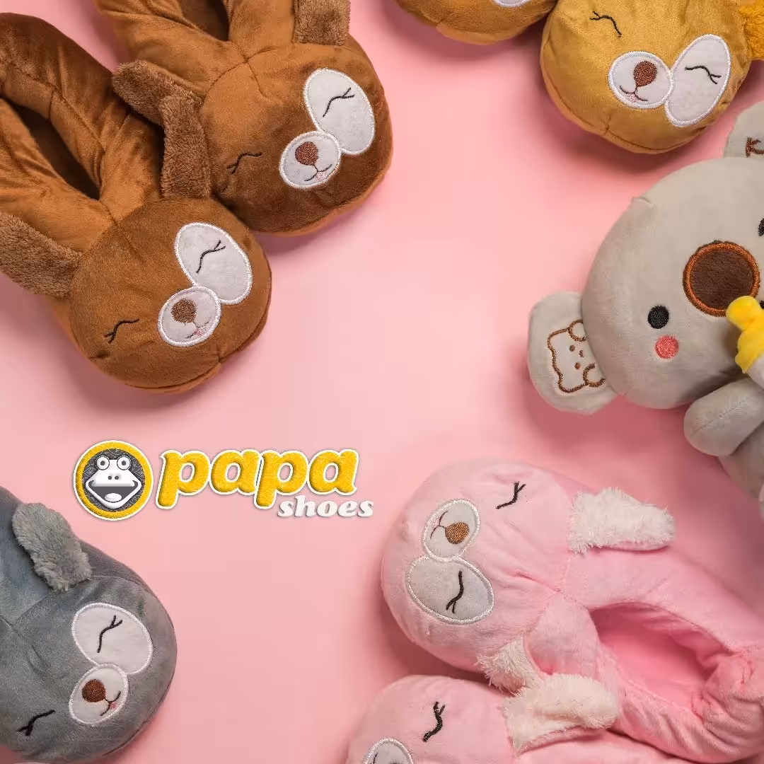 دمپایی پاپوش