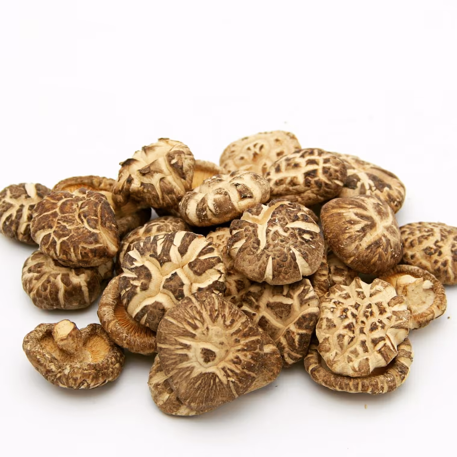 قارچ شیتاکه جهت زگیل تناسلی(100گرم)تولید ایران