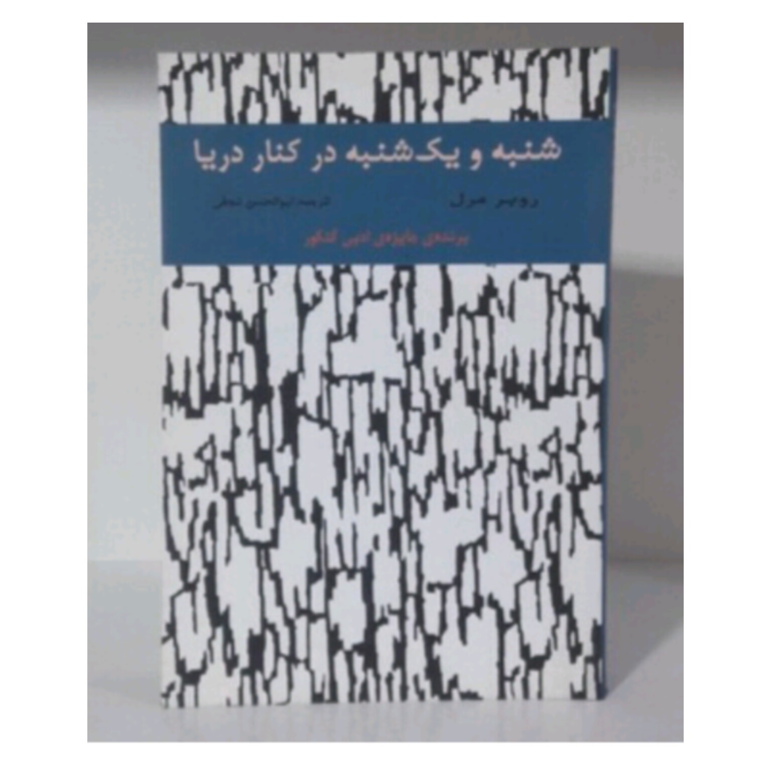کتاب شنبه و یکشنبه در کنار دریا اثر روبر مرل