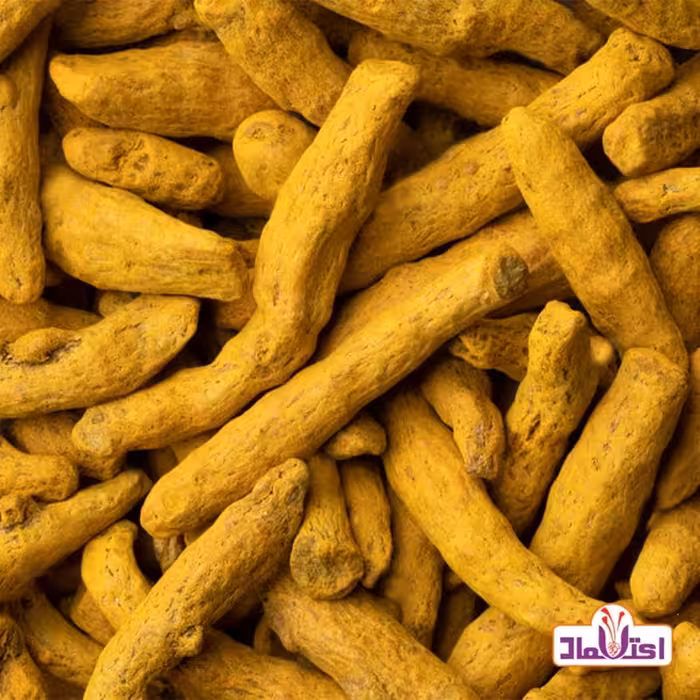 زردچوبه قلم هندی اعلا 250 گرمی اعتماد درشت و یکدست | amazonchi