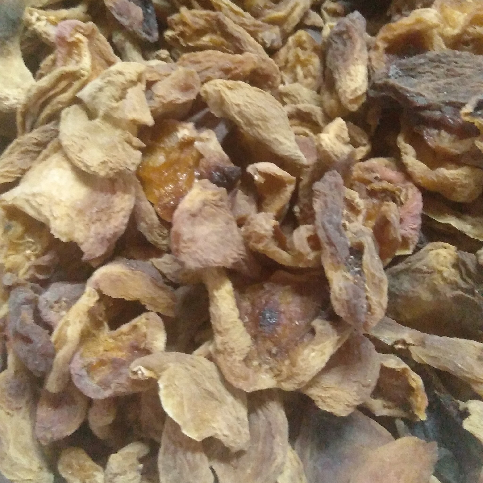 زردآلو آفتاب خشک شده ارگانیک خانگی (کیفیت ،متوسط به پایین)(1کیلوگرم)