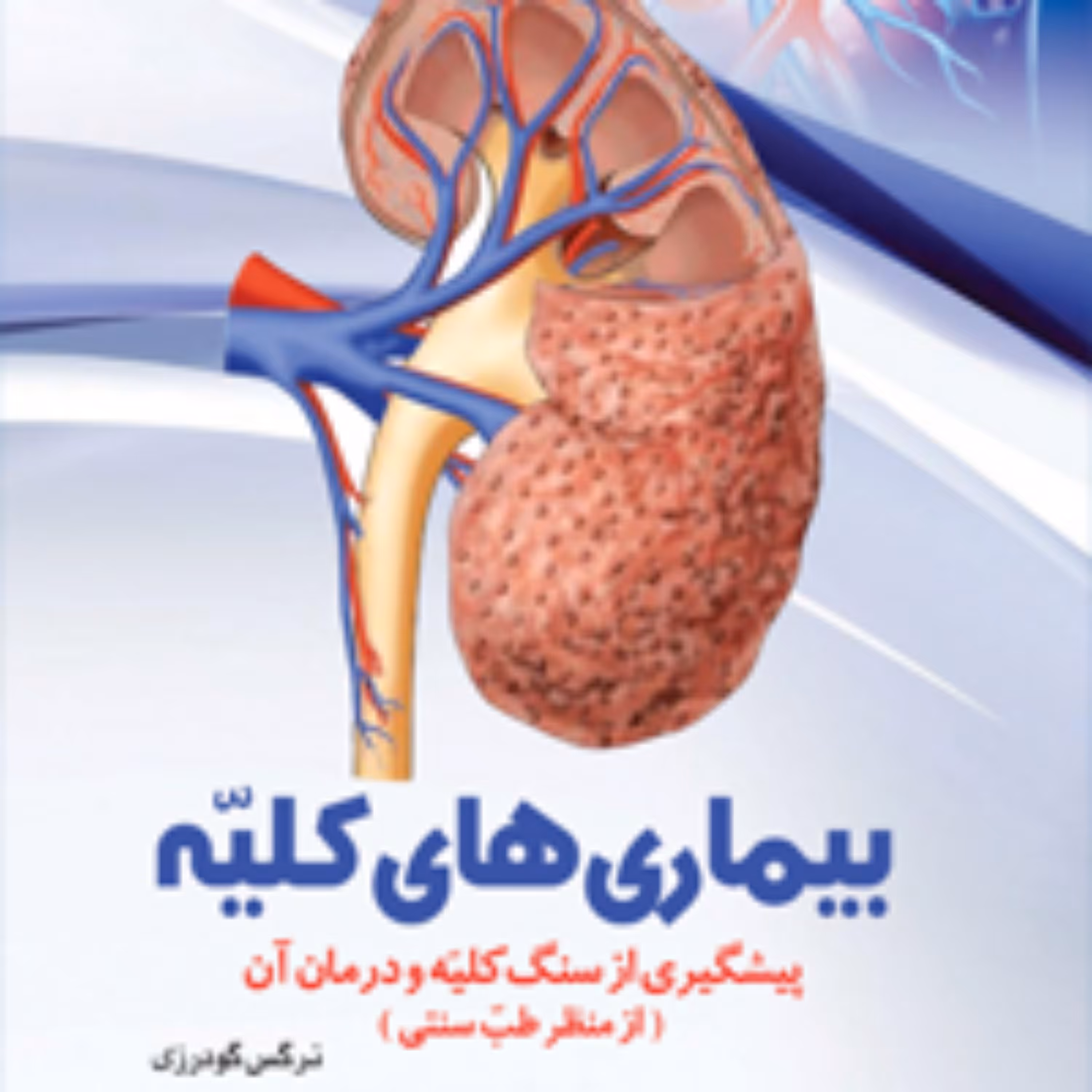کتاب بیماری های کلیه پیشگیری از سنگ کلیه و درمان آن از منظر طب سنتی