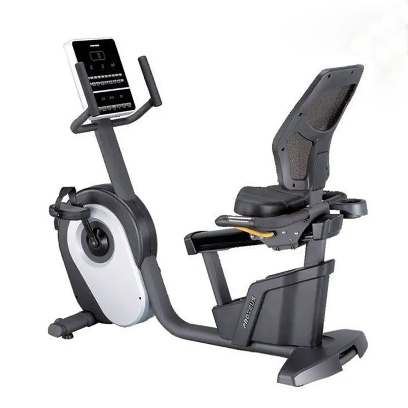 دوچرخه ثابت مبله پروتئوس مدل Proteus ProMaster R12