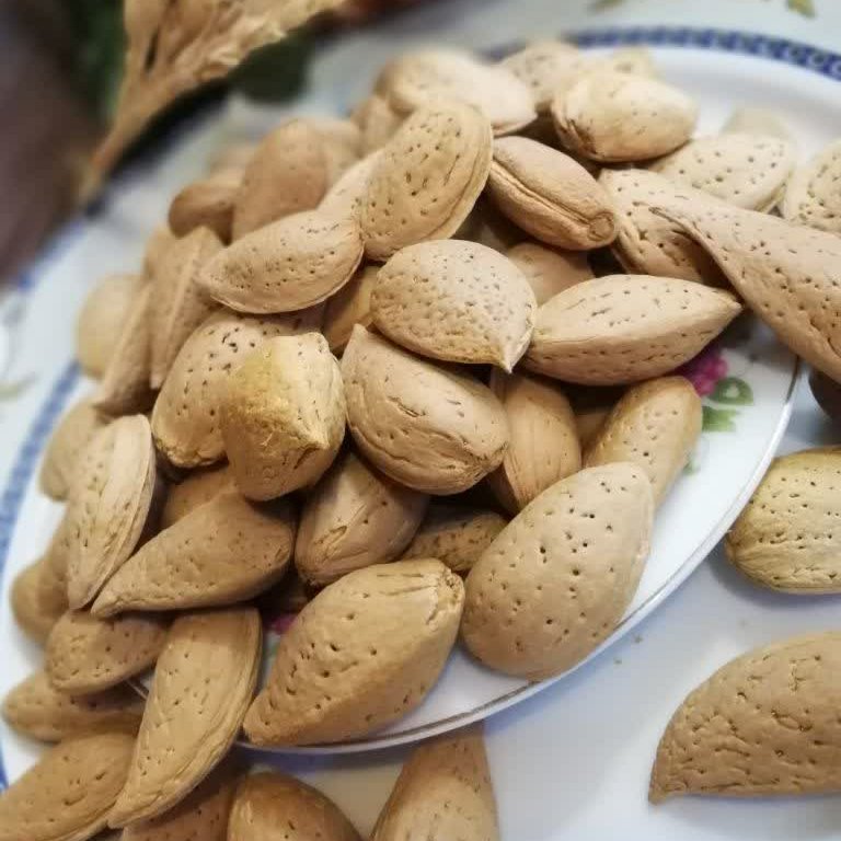 بادام سنگی تازه هزار گرمی (سایز متوسط)(ارسال رایگان)