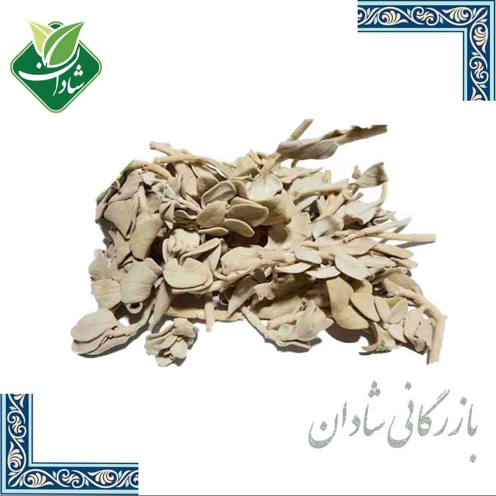 گیاه پولک 100 گرم