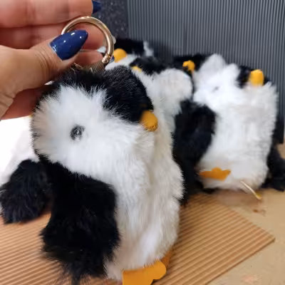 جاسوئیچی پنگوئن