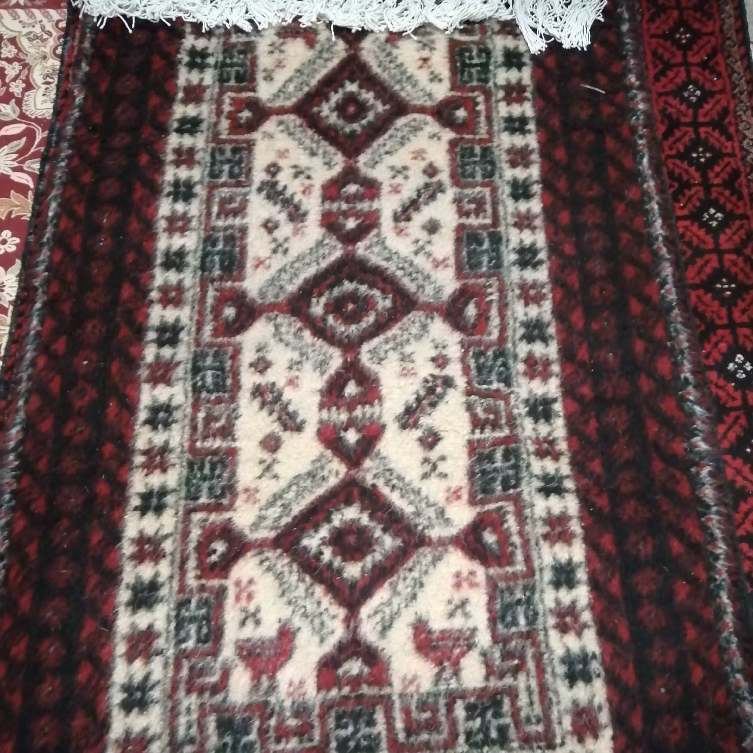 قالی  بلوچی 