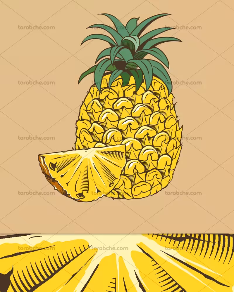 وکتور آناناس به صورت نقاشی | گرافیک با طعم تربچه