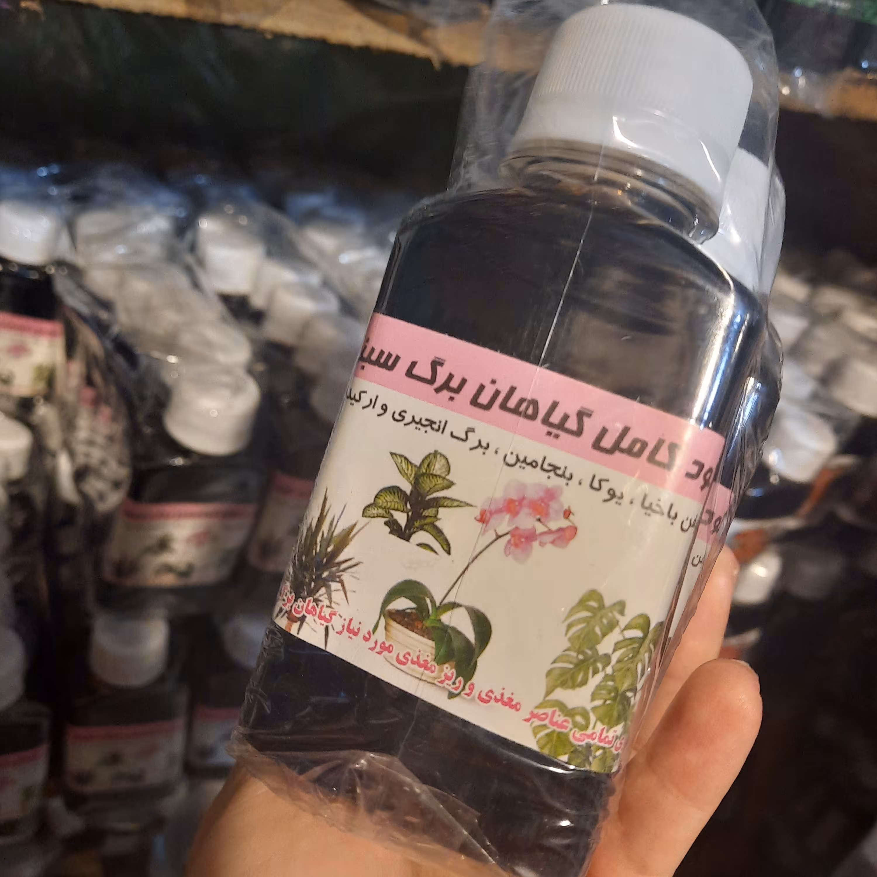 پک 6  عددی کود کامل گیاهان برگ سبز