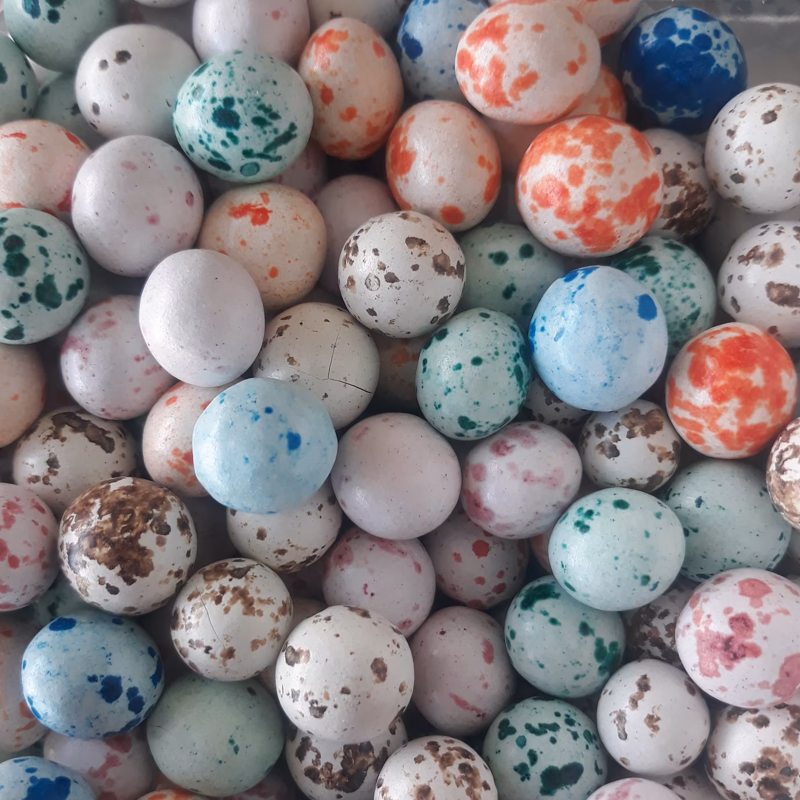 دراژه بلدرچین