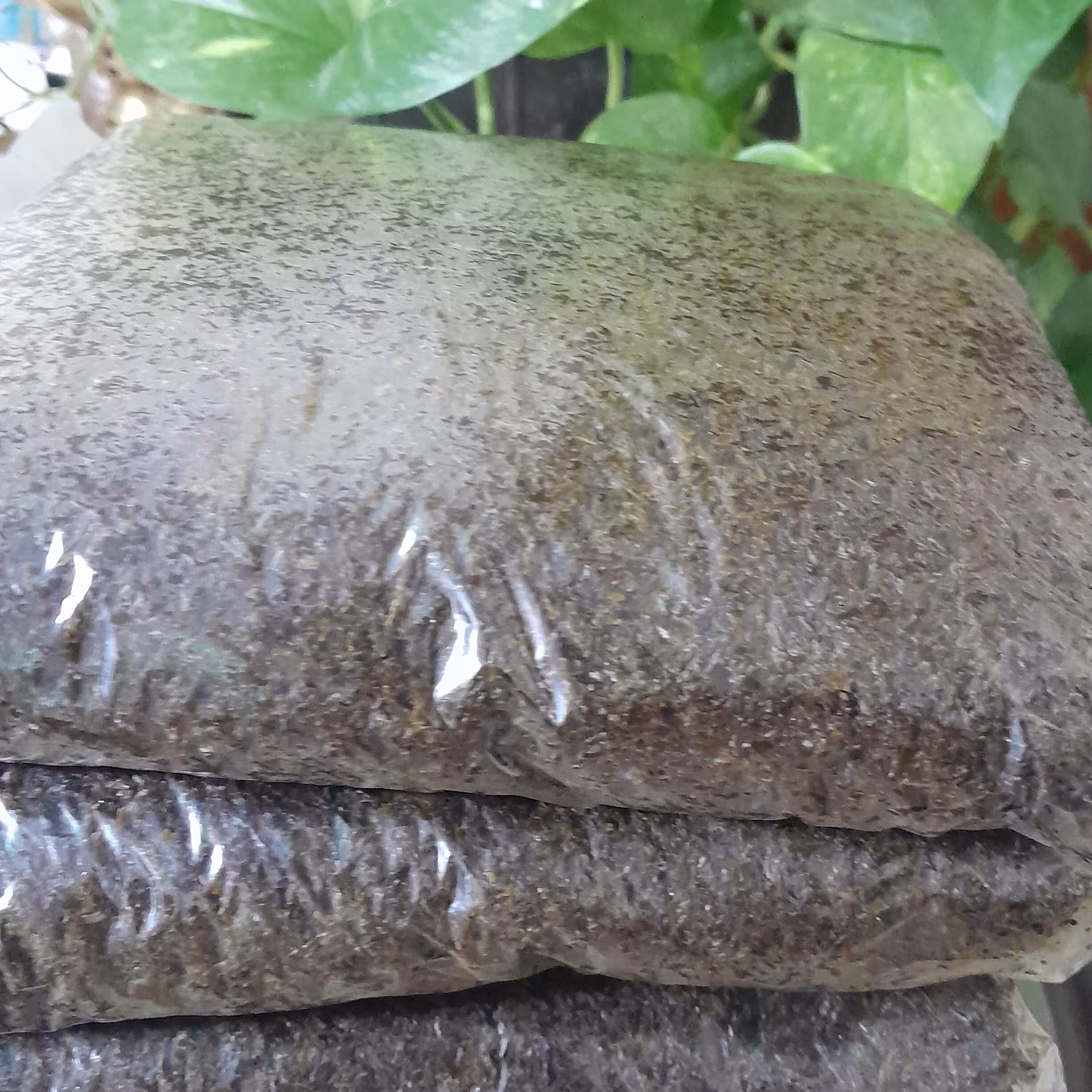 سبزی قورمه کاملا سرخ و پفکی  (400گرمی)