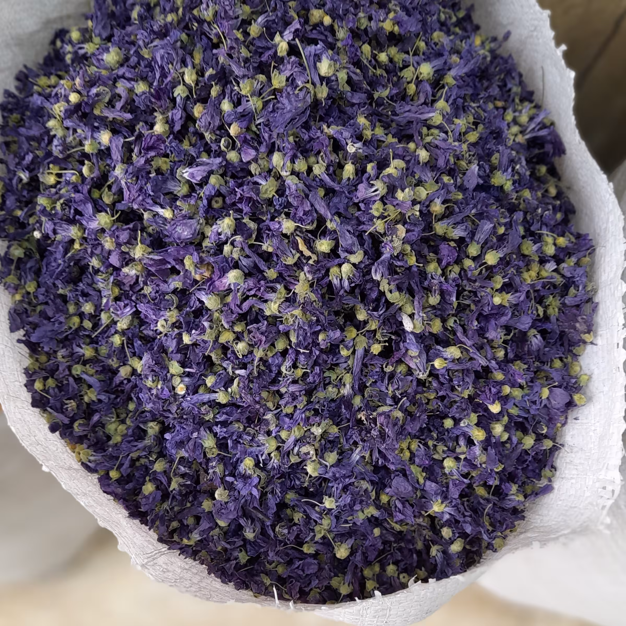 گل پنیرک یا ختمی خبازی