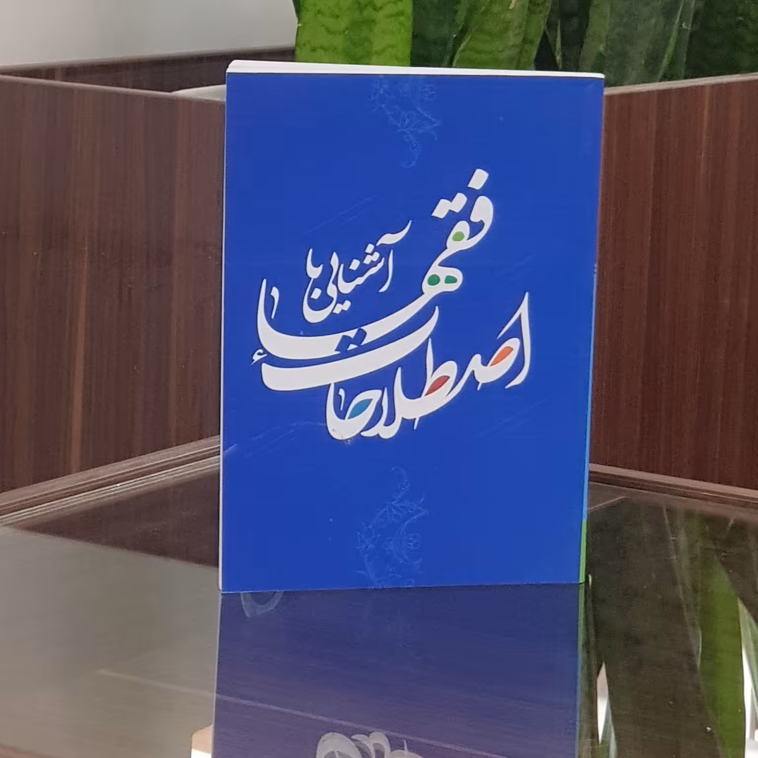 کتاب آشنایی با اصطلاحات فقها

