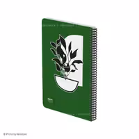 دفتر فنری  100برگ P.P رحلی فانتزی  الیپون کد 813