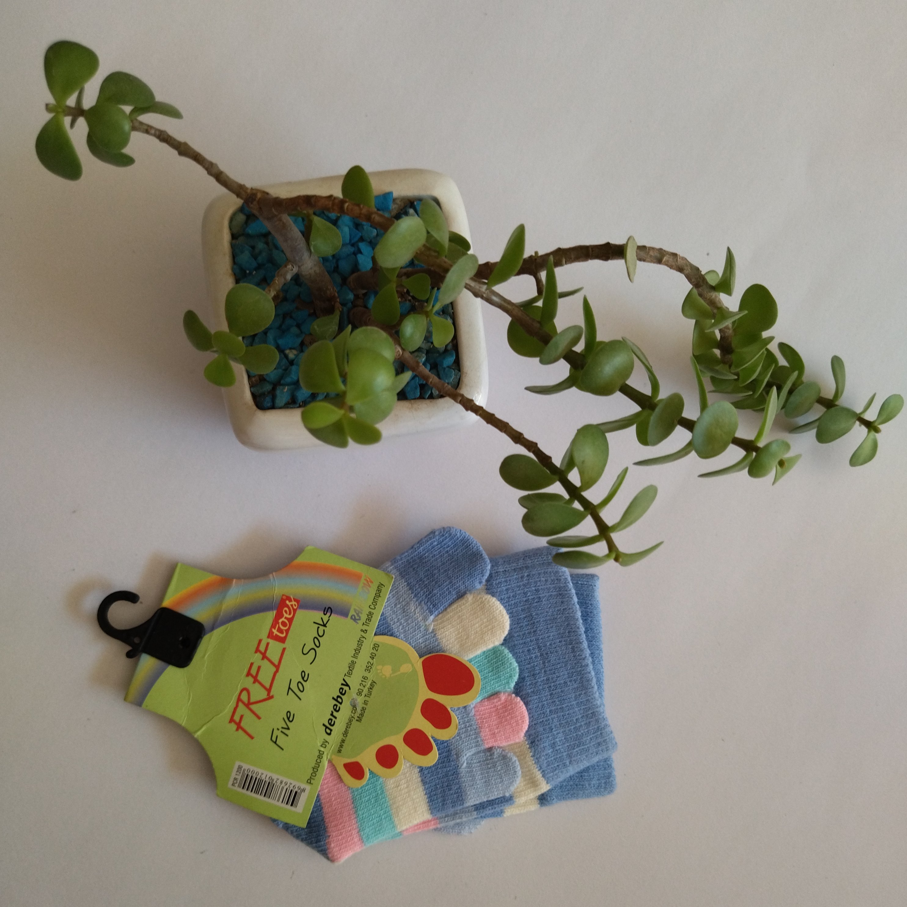 جوراب انگشتی