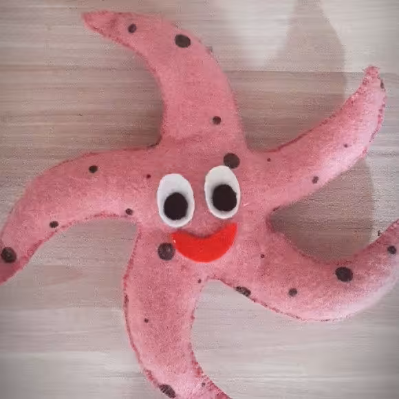 ستاره دریایی نمدی