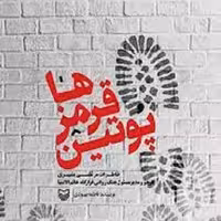 کتاب پو تین  قرمز ها - خاطرات مرتضی بشیری 