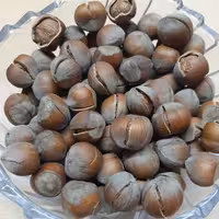 فندق خندان اشکورات 1401