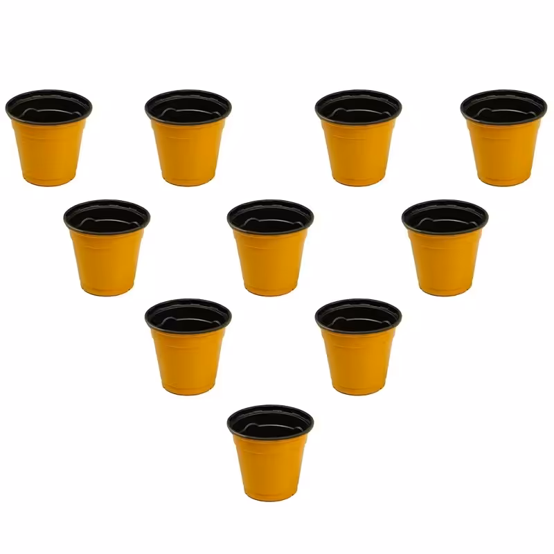 گلدان ژله ای بسته ی 100 عددی سایز  6 رنگ زرد