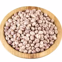 لوبیا چیتی محلی