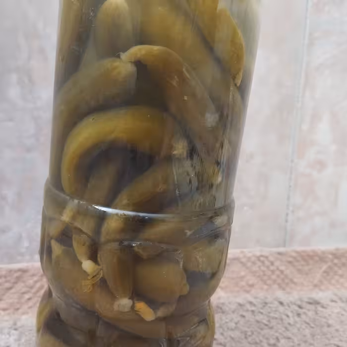 خیارشور ویژه ( ریز و قلمی ) تازه ،  عسلکده حکیم در بسته بندی بطری