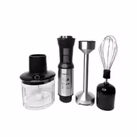 غذاساز و گوشت کوب 4 کاره سیلور کرست مدل SC-248