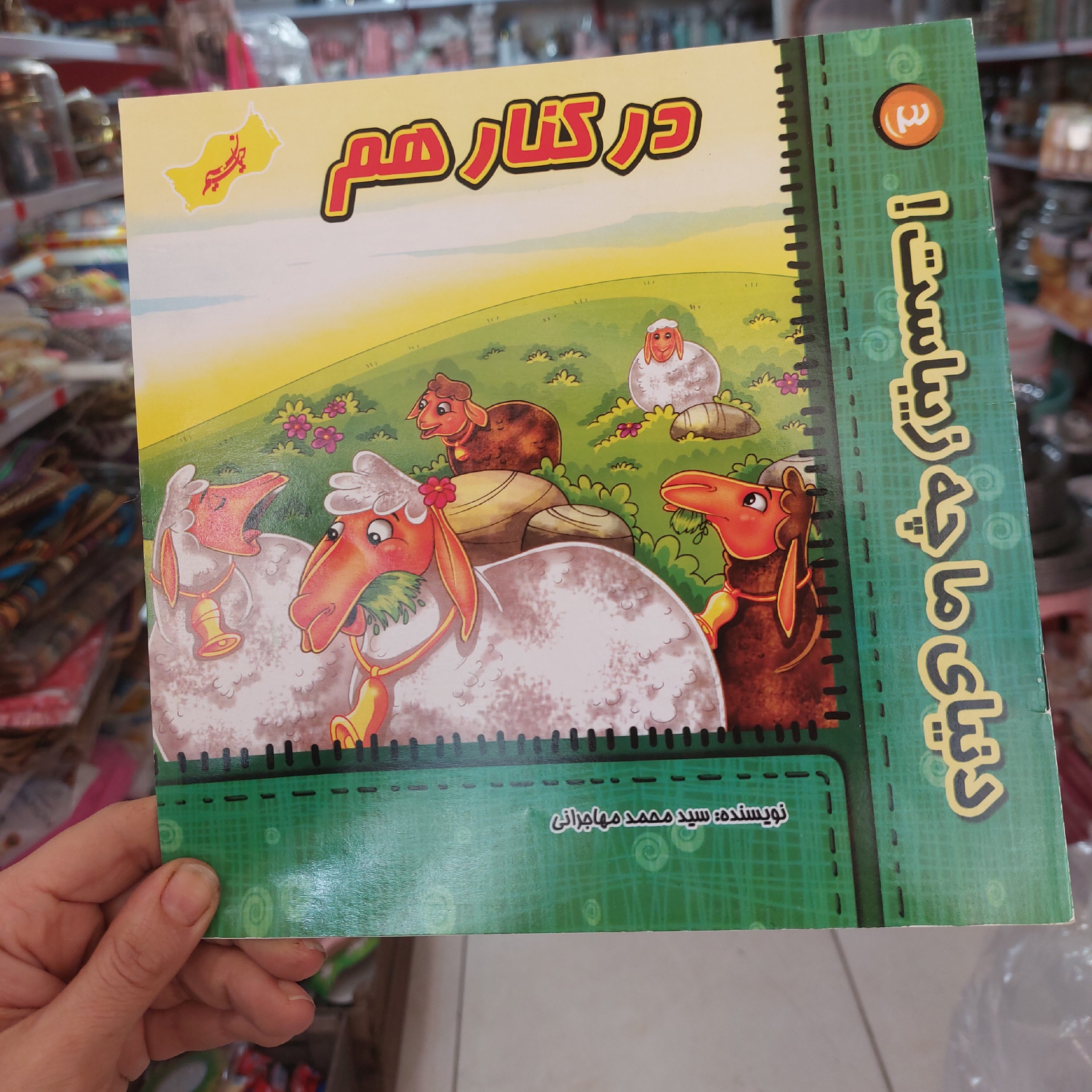 کتاب قصه یا کتاب داستان حراجی مخصوص کودکان در پلاسکو دهقان