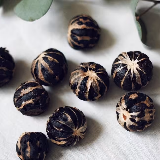 لیمو توپی(40گرم)