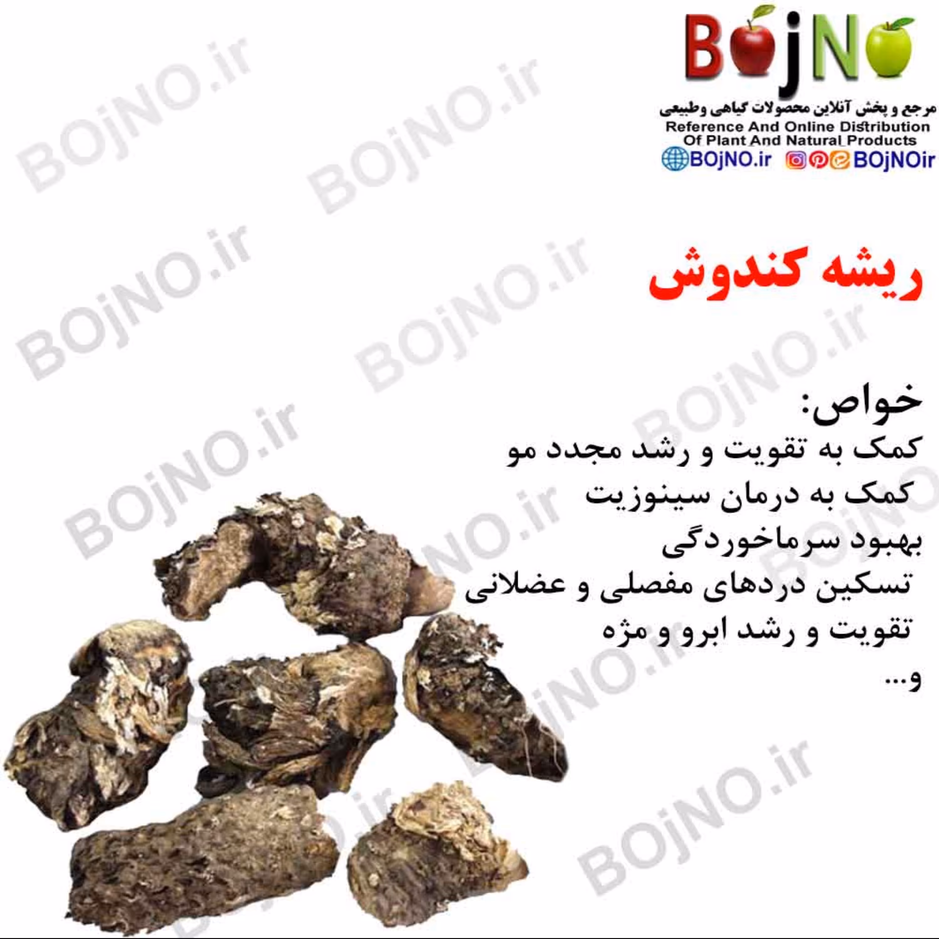 ریشه کندوش(بسته 50گرمی)