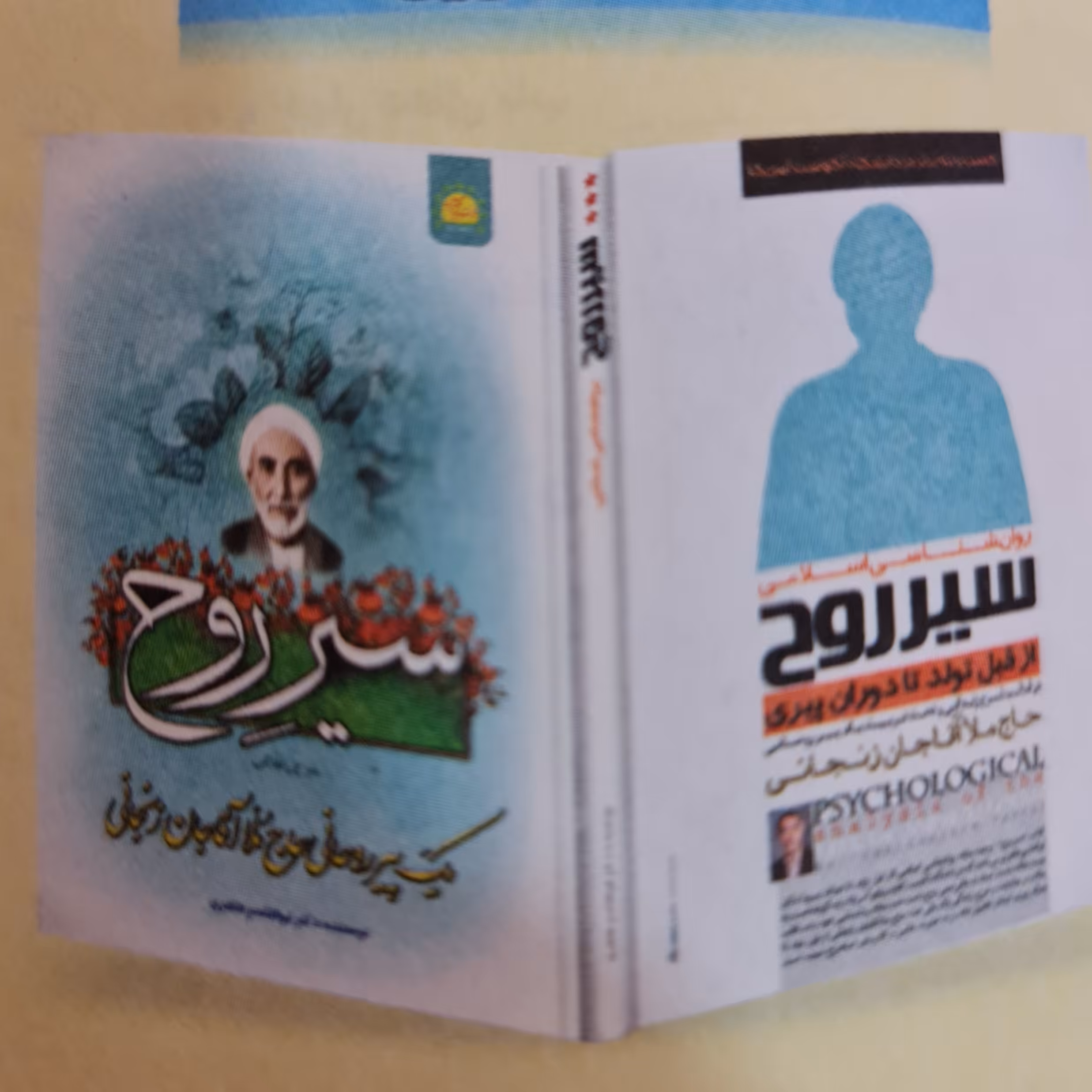 سیر  روح (یک پیر روحانی ) 