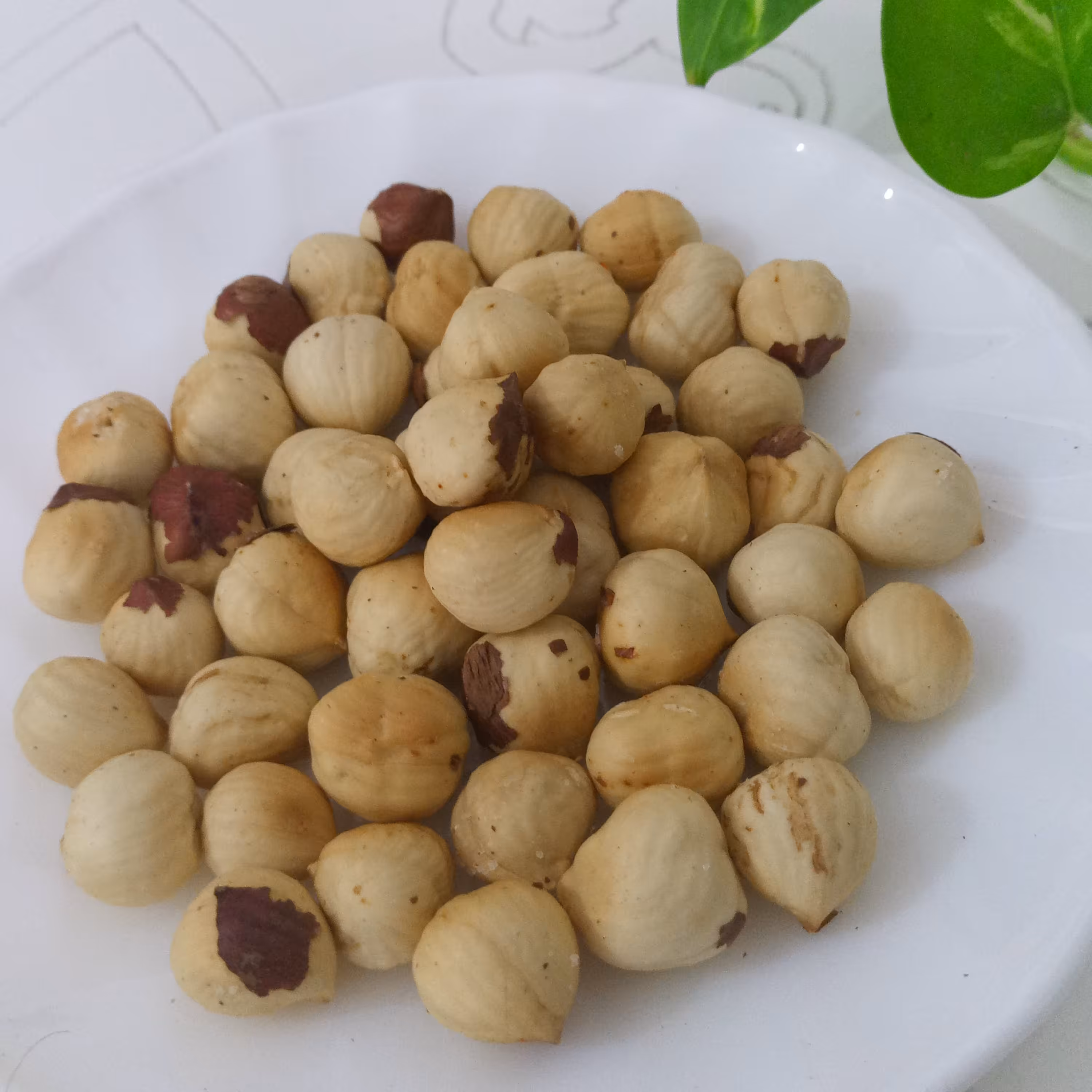 مغز فندق برشته 100 گرمی بی نمک