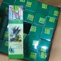 محلول شپش   یلدا 