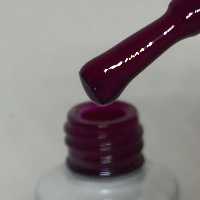 لاکژل 10 میل شماره 6  ژلیش لاک ژل