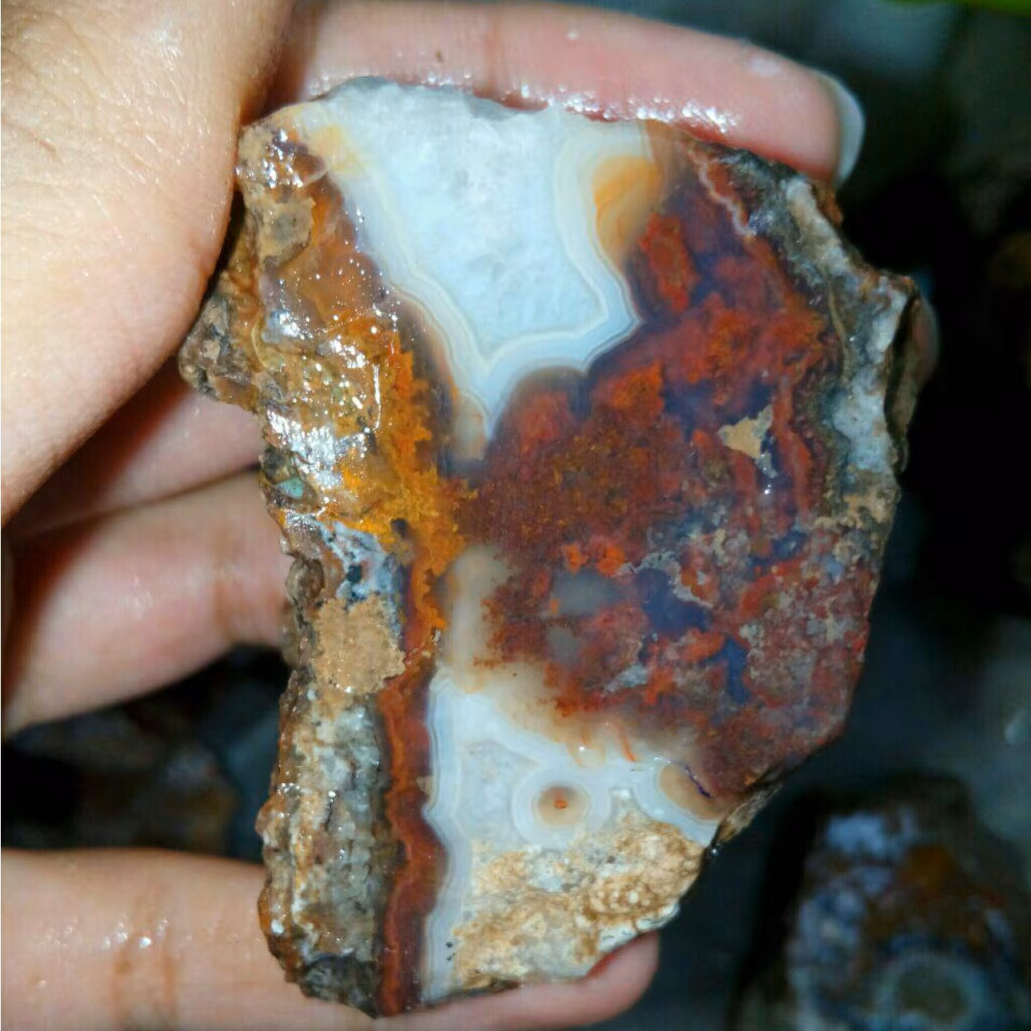 راف بسیار دیدنی شجر منظره رنگی مختص تراش نگین های بسیار زیبا و کلکسیون