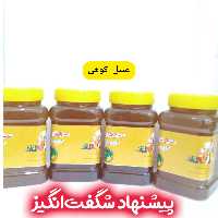 عسل طبیعی کوهی خام 4 کیلویی سبلان فروش ویژه(مستقیم از زنبوردار)ارسال رایگان