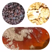 پک مقوی سه عددی شیره و کشمش و مغز گردو دو کیلویی