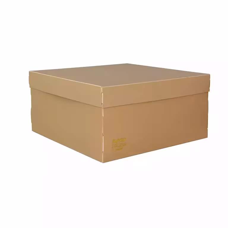 جعبه مدارک کوچک پاپکو کد SB-436