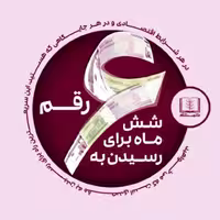کتاب شش ماه برای رسیدن به شش رقم اثر پیتر ووگد نشر شمشاد
